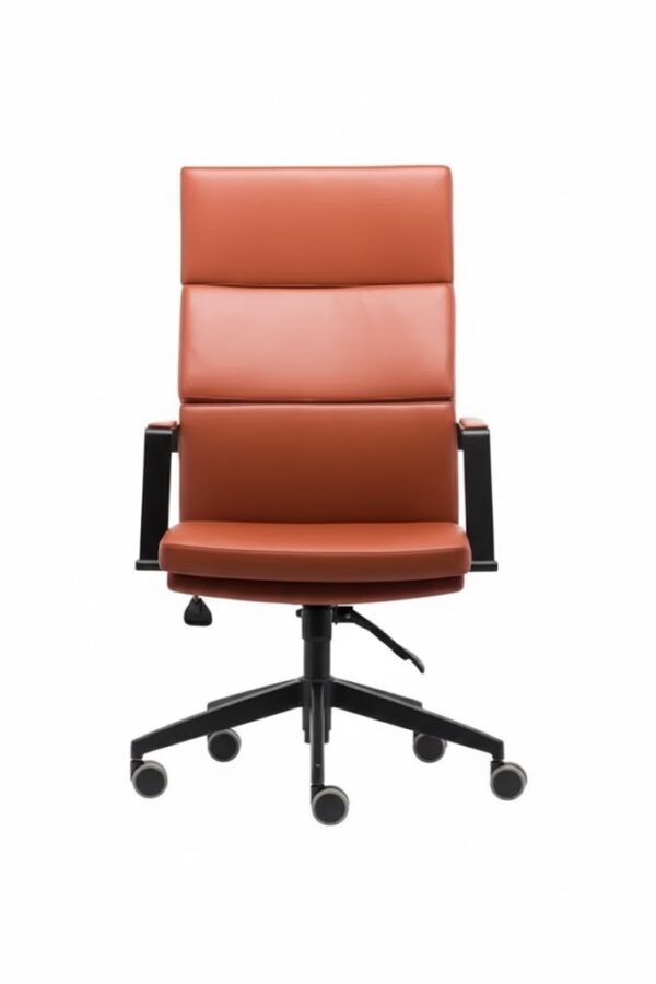 NESSA YÖNETİCİ KOLTUĞU