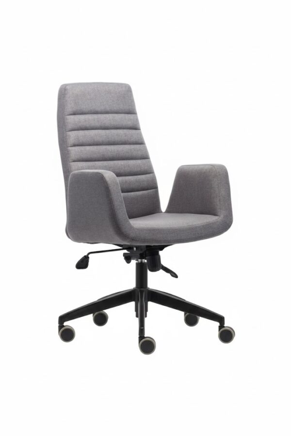 LİVE YÖNETİCİ KOLTUĞU