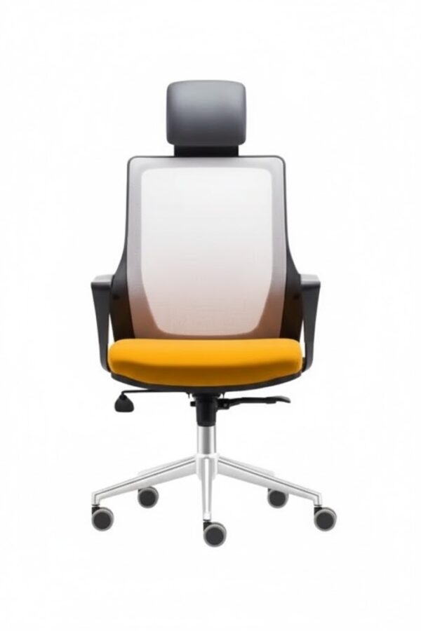 TEKNA YÖNETİCİ KOLTUĞU