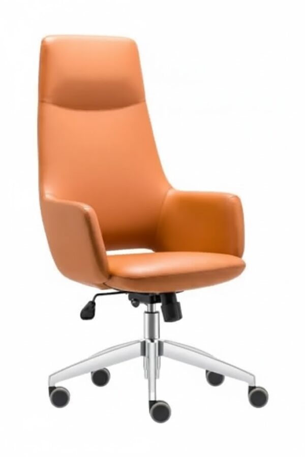 ARES YÖNETİCİ KOLTUĞU