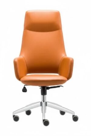 unnamed (8) ARES YÖNETİCİ KOLTUĞU